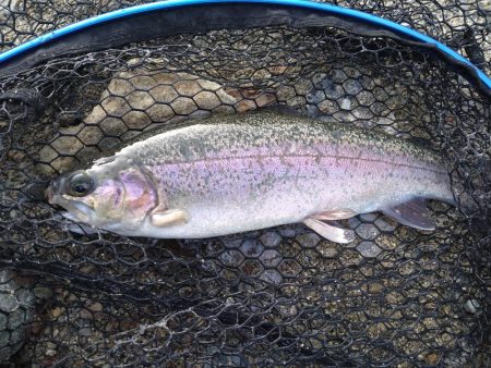 今年最後の釣り